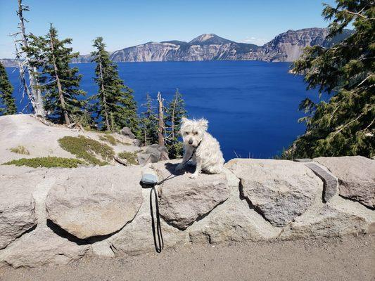 My Terra at Crator Lake