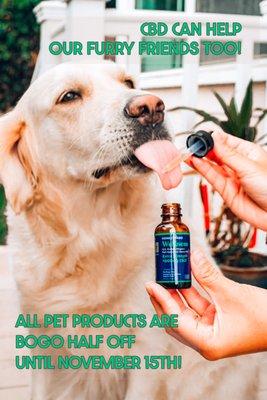 Pet CBD Products are BOGO Half Off