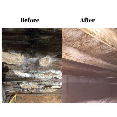 Crawl Space Mold Remediation