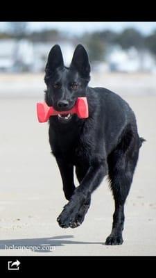 Link training at the beach