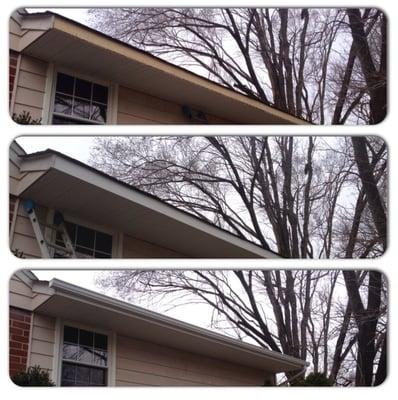 Residential Trim and Gutter Replacement - Arlington, VA