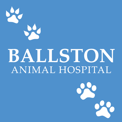 Ballston Animal Hospital