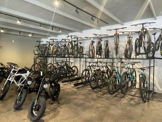 Good selection of bikes--these were just some but they had many more in other areas of the business.