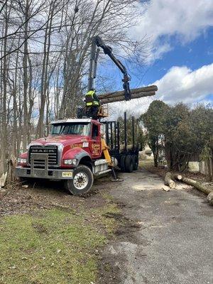 Juniors Tree Service