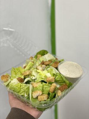 Cesear Salad with fresh romaine and croutons