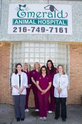 Emerald Animal Hospital