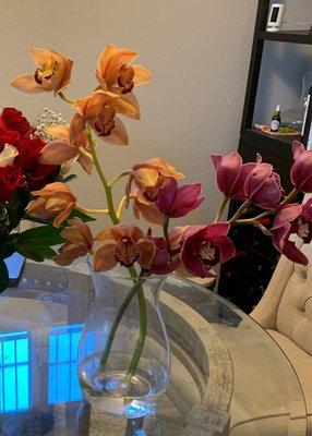 Beautiful cut orchids from the farmers market