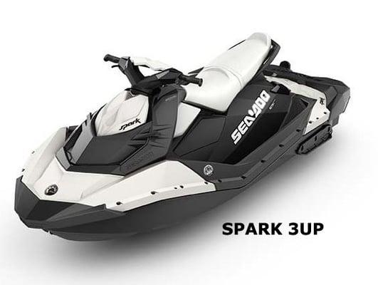 Seattle Jet Ski Rental