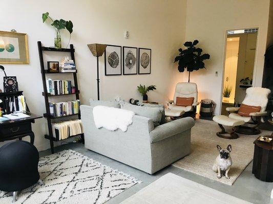 Cozy space & "therapy" dog