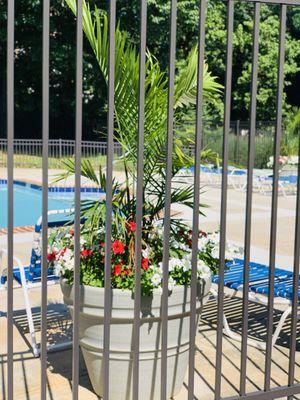 New bronze aluminum fence to replace the outdated chain-link