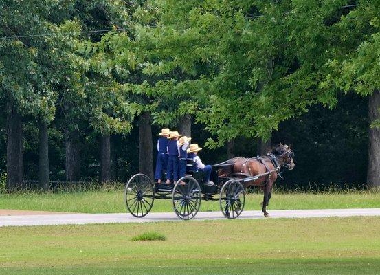 Experience the largest settlement of old-order Amish in the South passing feet away from your site.