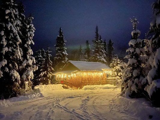 Bear cabin