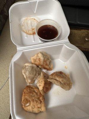 6 Piece Pan Fried Dumplings