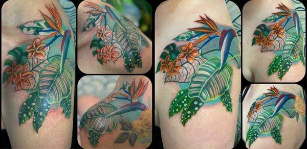 Matching botanical pieces