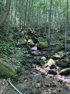 Mossy boulders and crevices