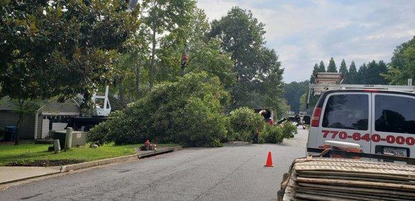 Tomahawk Tree Service