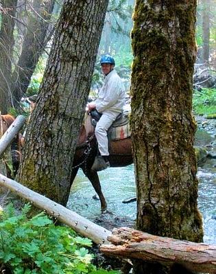 On of several creek crossing on our trail.