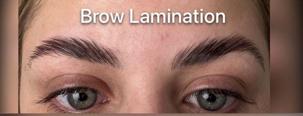 Eyebrow Lamination