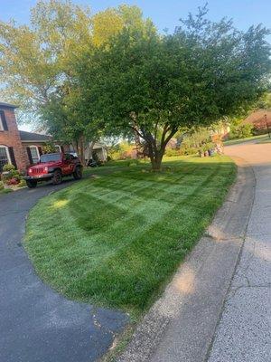 Prestige Lawn Care