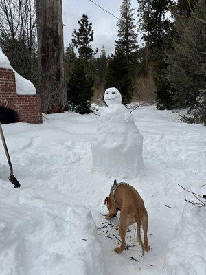 Playing in the snow