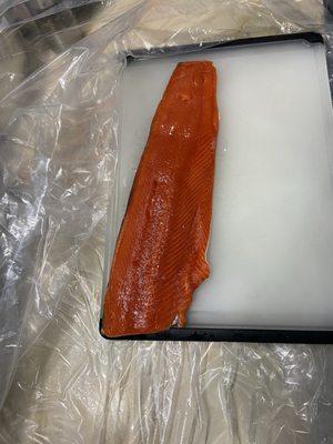 Sockeye Salmon.