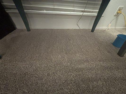 Stain carpet removal