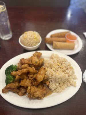 015. General Tso's Chicken (Lunch Only) and 102. Spring Rolls (2)