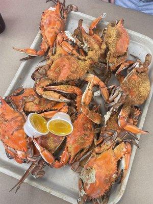 Extra Large Maryland Blue Crabs