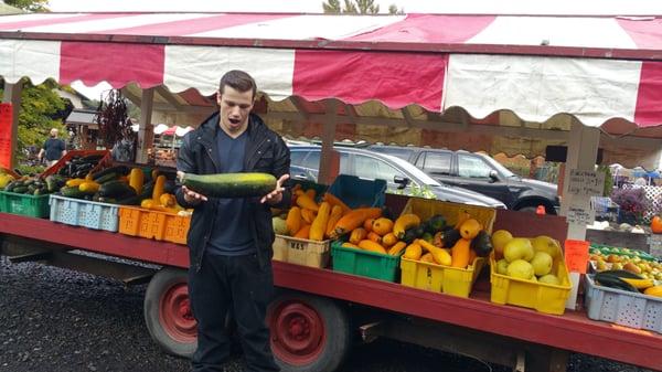 The zucchini's are HUMONGOUS