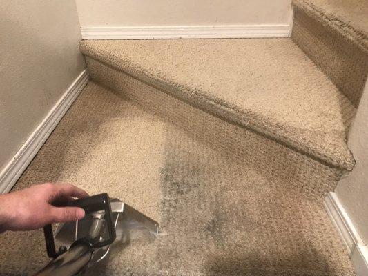 Barefoot Carpet Cleaning and Upholstery