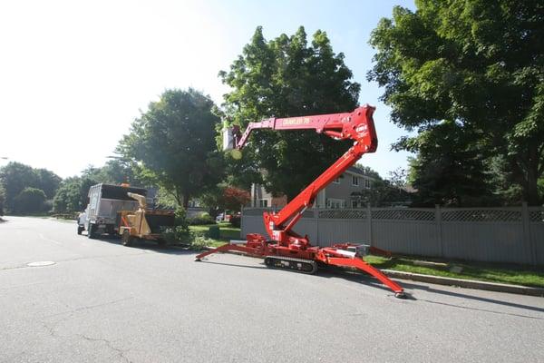 Polonski Tree Service