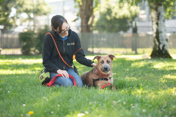 East Bay SPCA - Oakland