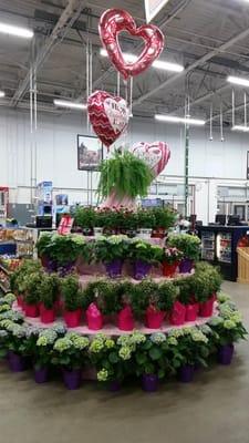 Valentine's Day display