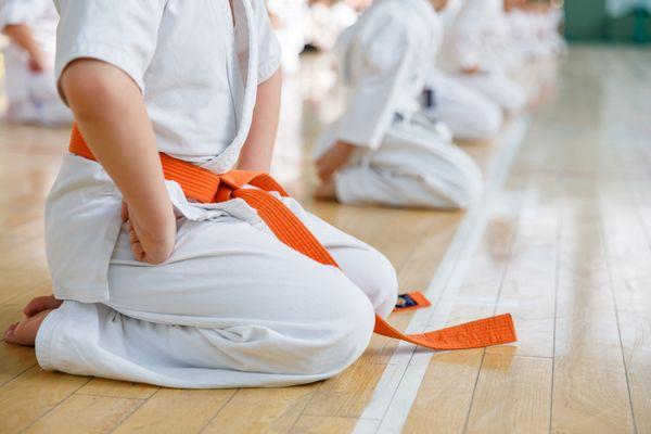 Tae Kwon Do Training