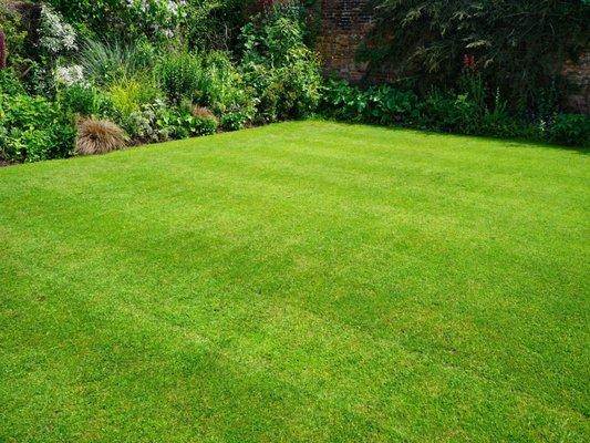 Arcadia 5 year Returning Customer for Winter Grass.