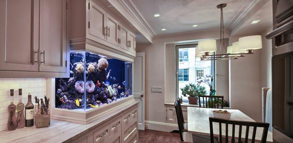 Aquarium Custom design/build, maintenance, and servicing all over New York area