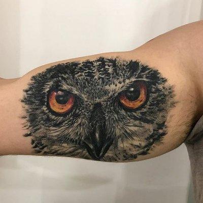 Healed owl head by Jessica Goldstein.