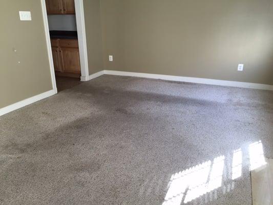 Family Room before cleaning