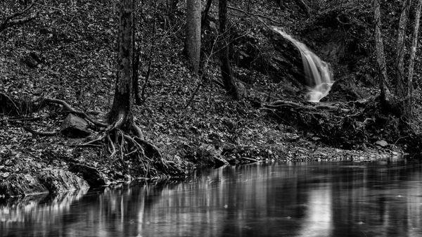 B&W of Prince William Forest Park