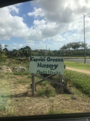 It's called Kapolei Greenz Nursery