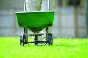 Fertilizing & Weed Control