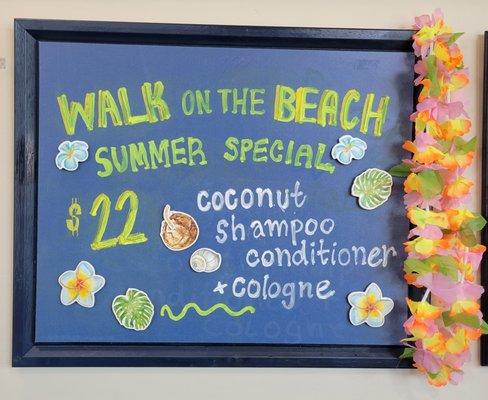 July 2022 - Enjoy a walk on the beach with our coconut shampoo and conditioner! Summer Special!