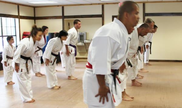 Advanced adult karate class