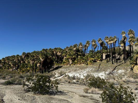 View from trail