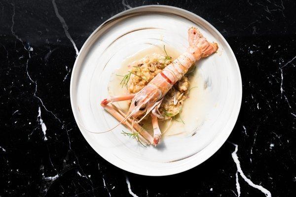 Langoustine