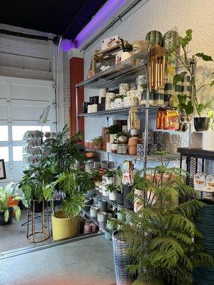 Plant Garage