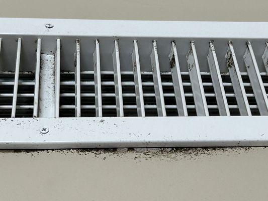 Main HVAC vent mold