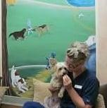 Westgate Pet Clinic Comfort Room