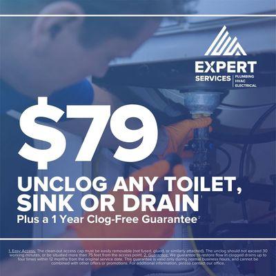 unclog any toilet, sink or drain for $79!