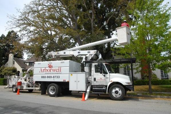 Arborwell in the field